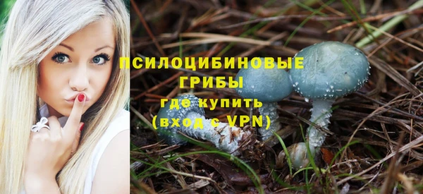 прущая мука Белоозёрский