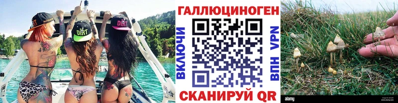 купить наркоту  shop какой сайт  Галлюциногенные грибы мухоморы  Вязьма  kraken  