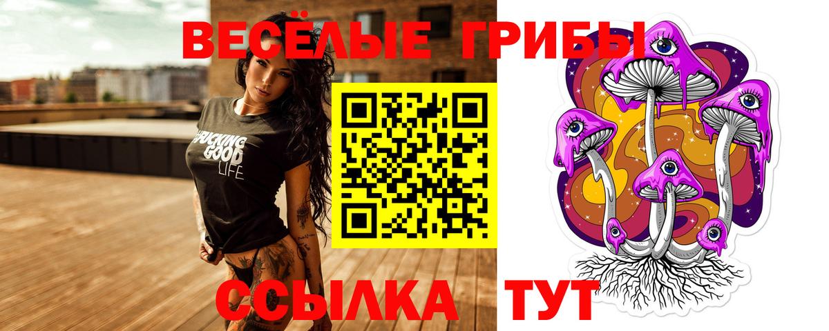 Галлюциногенные грибы прущие грибы  как найти   Вязьма  Вход с VPN 